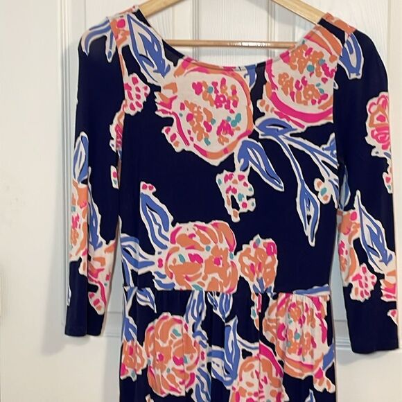 Lilly Pulitzer Dress - Picture 2 of 8
